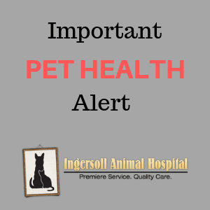 Important Pet Health Alert