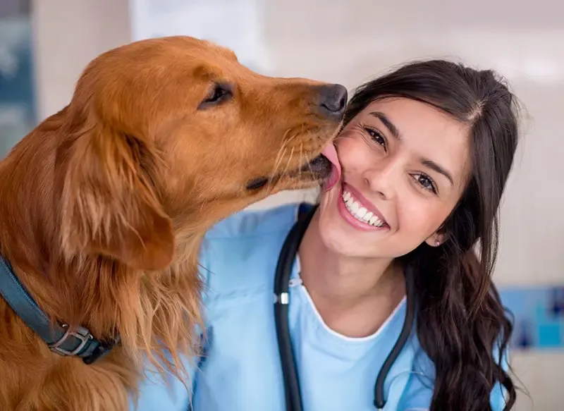 Dog giving a female veterinarian a kiss.